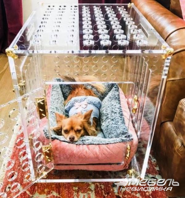 Прозрачная мебель для котов и собак