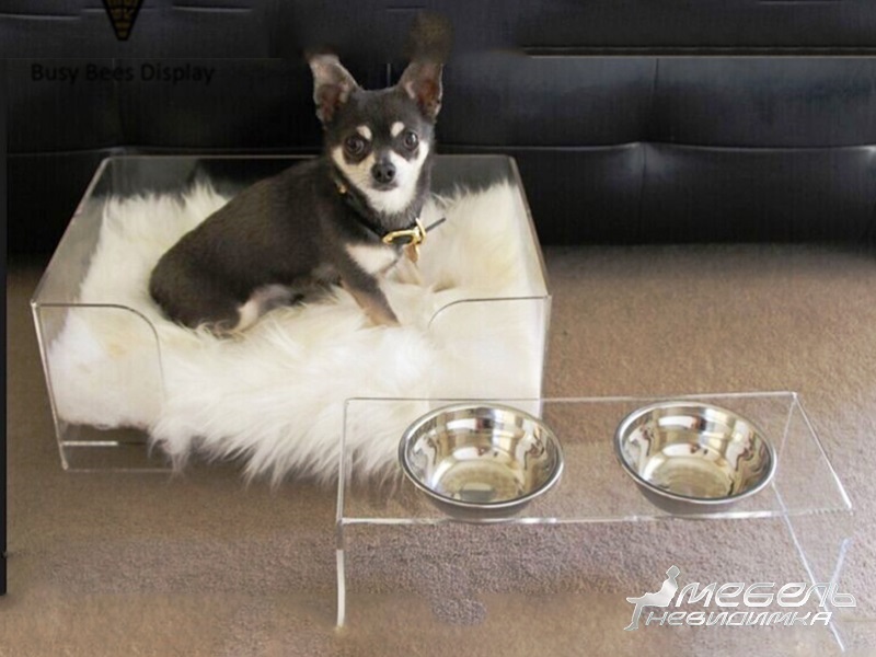 Прозрачная мебель для котов и собак